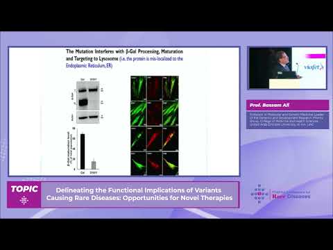 Prof. Bassam Ali | Delineating the Functional Implications of Variants Causing Rare Diseases:.......
