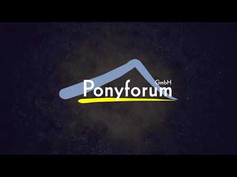 4j. Dunkelfuchswallach v. Oosteinds Ricky – Halenkino