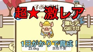【ゲーム実況】超！！激レア豚を育てた結果・・・笑いあり涙ありの展開だった【ようとん場MIX#4】