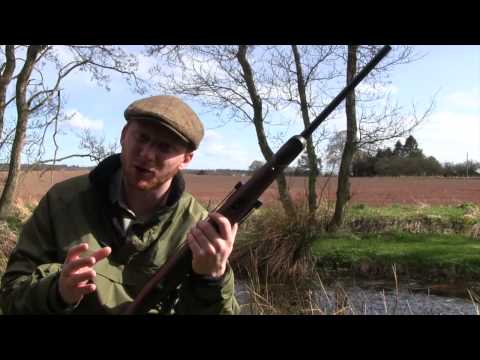 Bergara BX11 on test