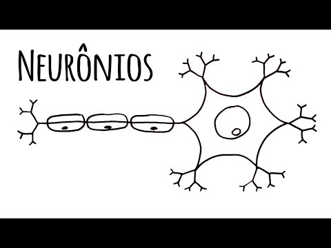 WHAT IS A NEURON?