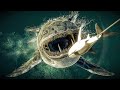 Acurate Bloop Vs El Gran Maja Ultimate Sea Monster Fight Best Hunt Fight Animations JWE2
