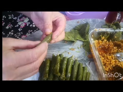 Dalından tazecik zeytinyağlı yaprak sarma | Elde yaprak nasıl sarılır | Anne lezzetli sarma tarifi