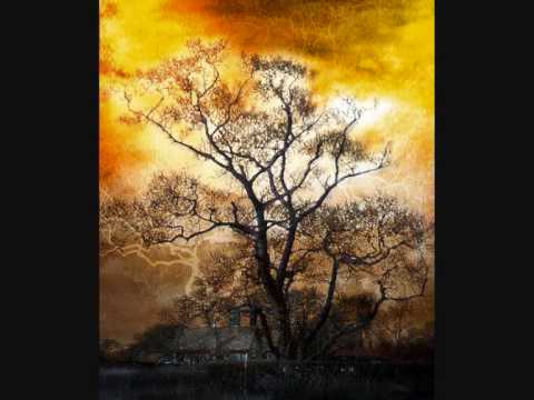 Pablo Moses - I love i bring