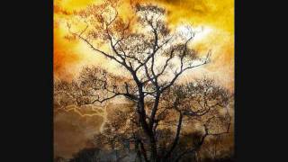 Pablo Moses - I love i bring