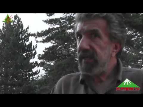 Izjava - Luka Mičeta, autor knjige Sulejman, Hurem i Srbi