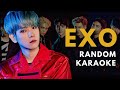 K POP RANDOM KARAOKE CHALLENGE EXO RANDOM KARAOKE