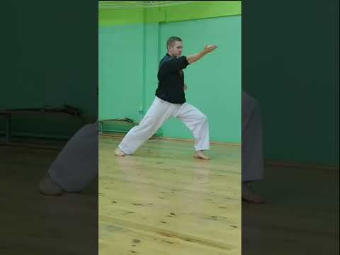 1 Dan (Shodan) Kihon|#thenandnow #тогдаисейчас #karate #каратэ #kihon #blackbelt  #shotokan #шотокан