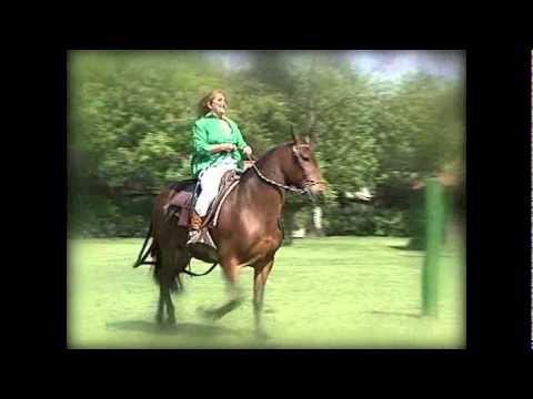 Ñeca Rodriguez - Cuando le canto a mi tierra