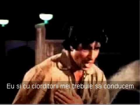 Previziunea lui Brucan