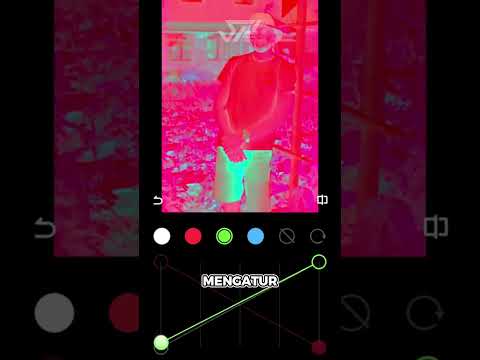 Apa yang Tersembunyi di Film 50 Tahun Ini?