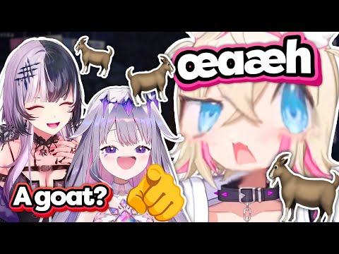The new Mococo Noises™ sounded like a goat 🐐