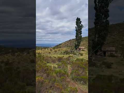 Subiendo al Cerro Ventana - Los Hornillos, Córdoba #djipocket2 #cerroventan #travel #trekking #dji
