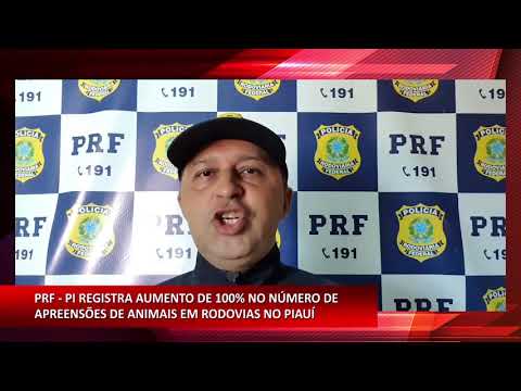 PRF registra aumento de 100% no número de apreensões de animais em rodovias 25 12 2020