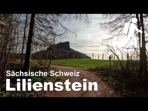 Aufstieg zum Lilienstein, Sächsische Schweiz, Elbsandsteingebirge | Wandern in Sachsen | 4K