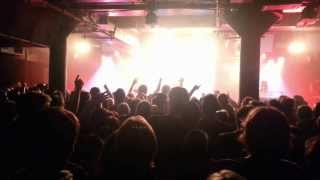 The Cat Empire - The Wine Song