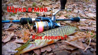 Ссылка