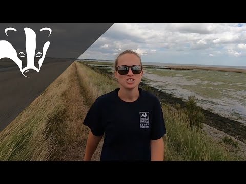 The Essex Coastal Challenge - Tollesbury Wick nature reserve