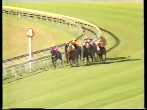 1988 PJ O'Shea Stakes