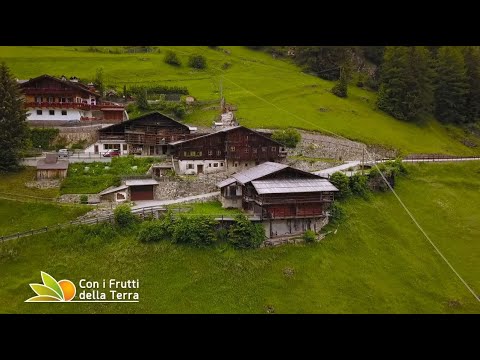 Puntata del 15/8/21 –  1° parte – La Val Gardena e i sapori ladini