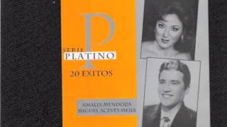 Una Sola Caida Amalia Mendoza