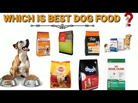 download lagu mp3 mp4 Best Dog Food For Lab Shepherd Mix, download lagu Best Dog Food For Lab Shepherd Mix gratis, unduh video klip Best Dog Food For Lab Shepherd Mix