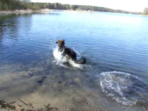 nazgul - borówno.wmv