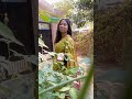 || Taslima Nasrin✍️ || ❤️  Voice over : Pallabi Das 🗣️ #recitation #shorts #youtubeshorts #viral