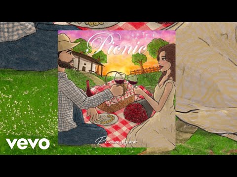 Picassoo - Picnic (Cover Video)