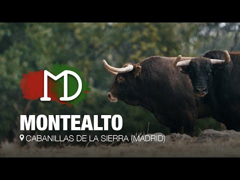 Las ESPECTACULARES salidas de los toros de las finales de la Copa Chenel