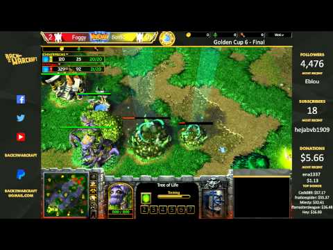 Golden Cup #6 Grand Final - [N] Foggy vs. SoniK [N]
