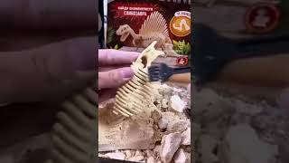 Раскопки "Найди окаменелости Спинозавра" 11 эл 05401