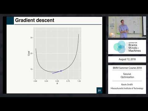 Tone Optimization Notes