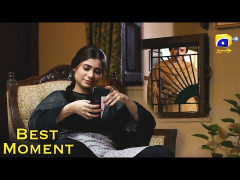 Mujhay Qabool Nahin Episode 26 | 𝗕𝗲𝘀𝘁 𝗠𝗼𝗺𝗲𝗻𝘁 𝟬𝟰 | Ahsan Khan - Madiha Imam - Sami Khan | Har Pal Geo