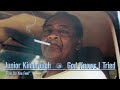Junior Kimbrough - How Do You Feel (Official Audio)