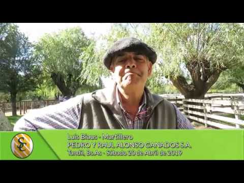 20-04-19 - Luis Biaus - Martillero - Pedro y Raul Alonso Ganados S.A. - Tandil
