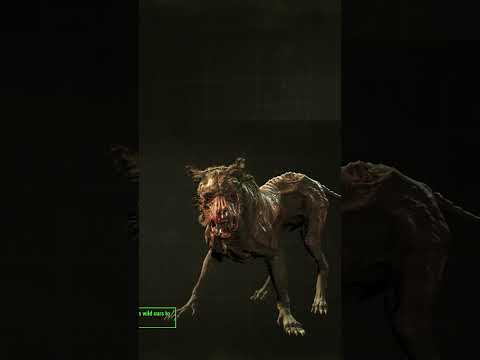 they did what to the bog? | #lardteamaker on #Twitch