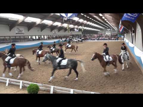 NK carrousel 2016 - De Larense Ponycarrousel