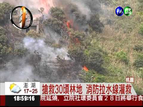 掃墓變燒山! 30頃林地陷火海