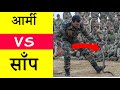 Power Of Indian Army Shoes Power Of Indian Army Shorts