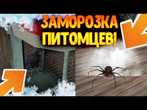 ЗАМОРОЗИЛ ПИТОМЦЕВ ГРЕННИ ! ПАУК И ВОРОН В МОРОЗНОЙ ЛОВУШКЕ !  - Granny 1.7