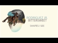 Shapes I See by Rodriguez Jr