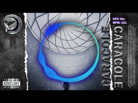 Tiesto & Ava Max Type Beat | House Type Beat | CARACOLE