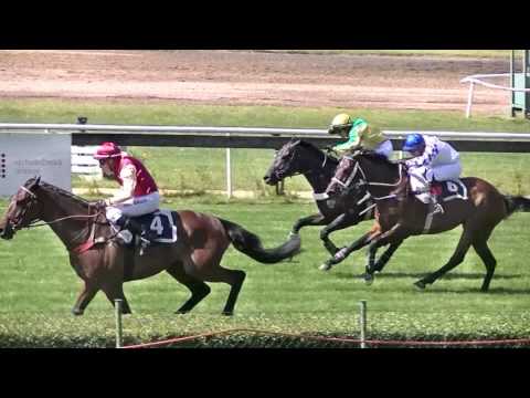 Dostihový spolek Před II. kvalifikací podepsali Memorandum "Pardubičtí koně"