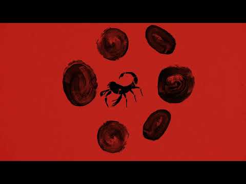 WEB WEB  x MAX HERRE - Ólobo (Official Video)