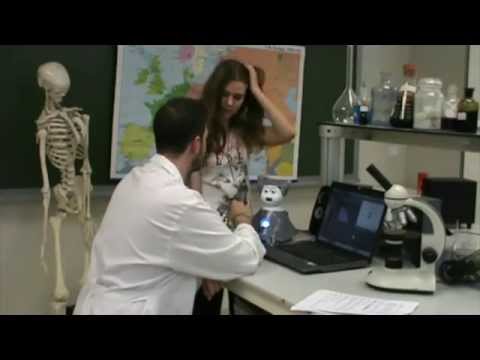 1º Premio Programa Tu Obra Alicante  "Jugada de cables" IES Nit de l'Albà