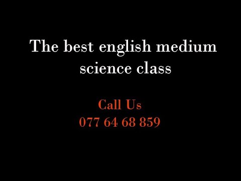 GMT20240501 155341 Recording 1686x768