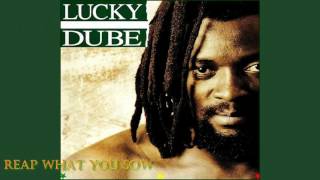 LUCKY DUBE — Reap What You Sow