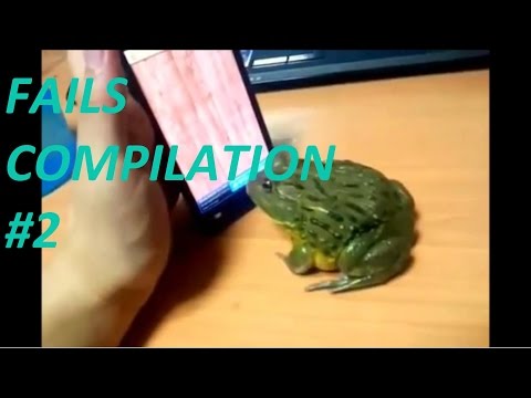 Fails June 2015 #2