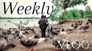 VLOG ✨Feeding pigeons, more Dragon Boat training and Father’s day cake ✨